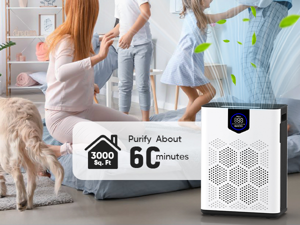 air purifiers for home large room