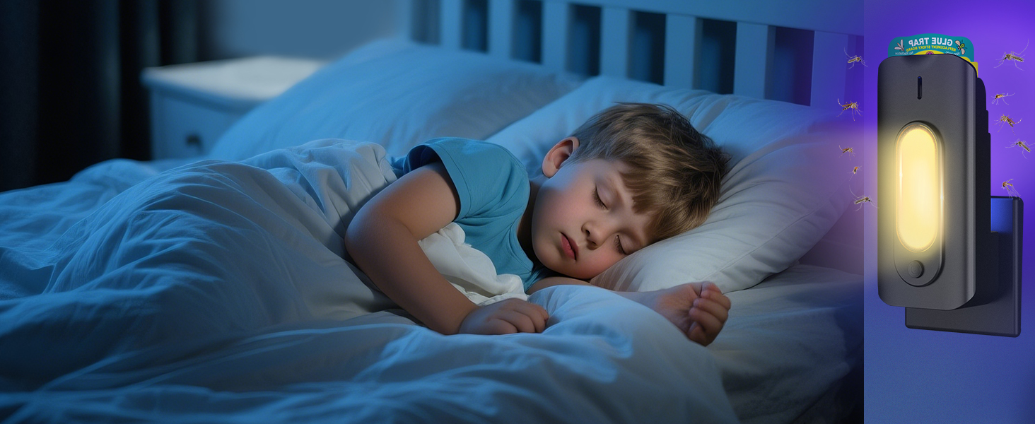 bug traps indoor for home