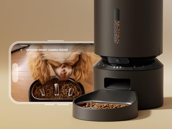 Automatic dog feeder