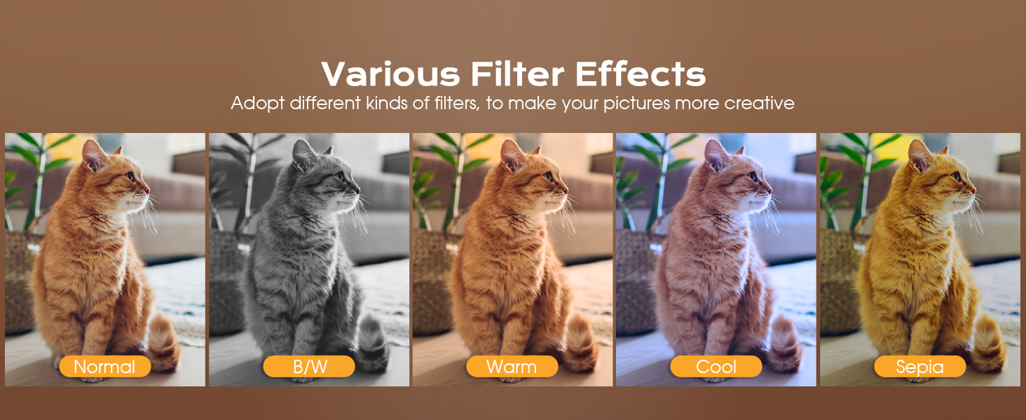 Various Filters