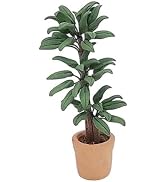 Green Cute Dollhouse Flower Bonsai 1:12 Mini Dollhouse Miniature Green Plant in Pot Micro Landsca...