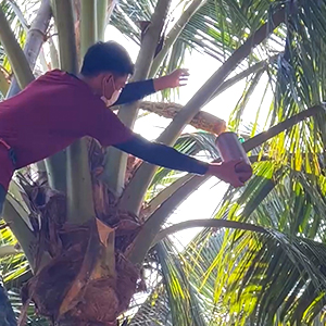 organic sustainable farming for healthy soil ecosystem