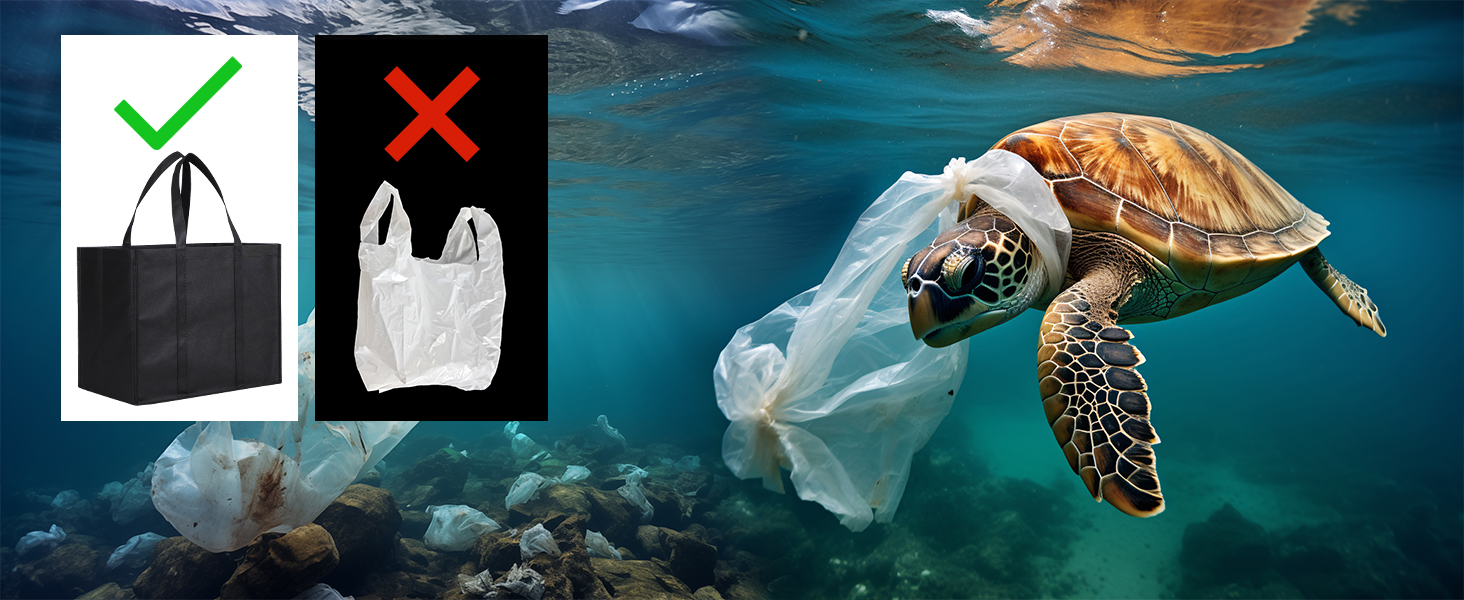 Reusable Grocery Bags