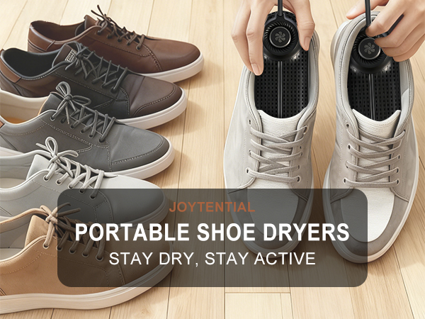 Electric Shoe Dryer
