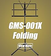 GMS-001X