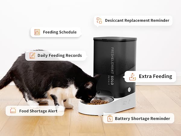 app control cat dog feeder food dispenser