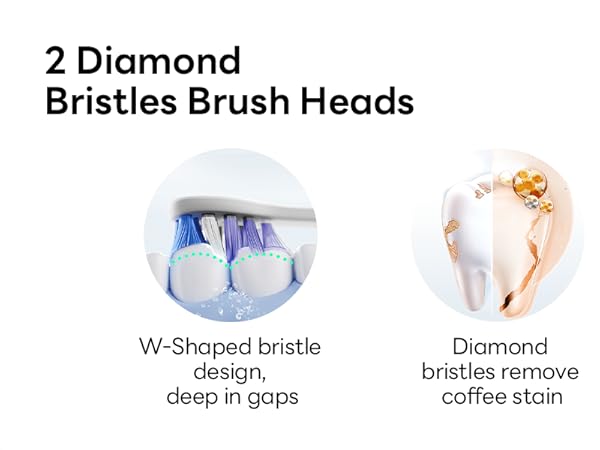 2 Diamond Bristles Brush Heads