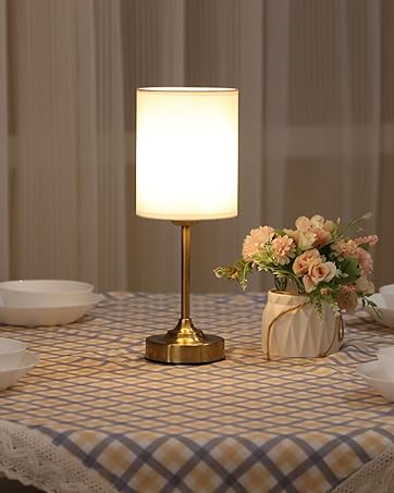 cordless lamp