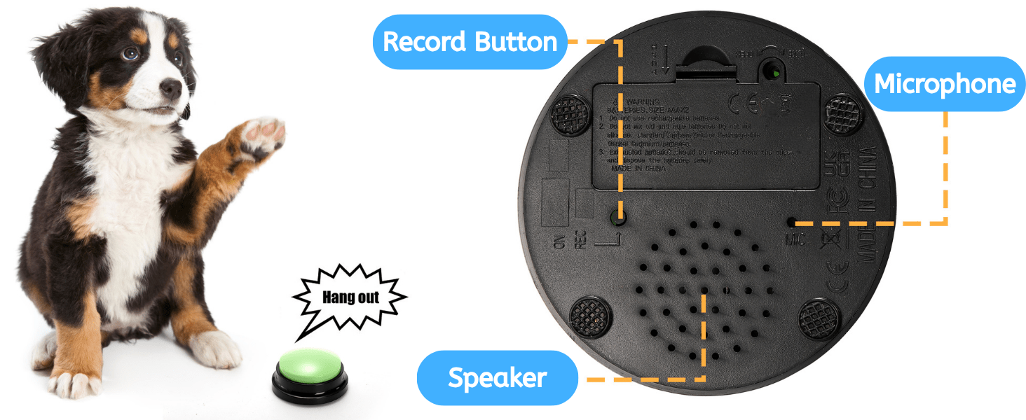 speech button for pets