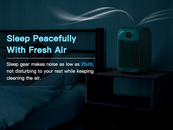  Air Purifier for Home large room