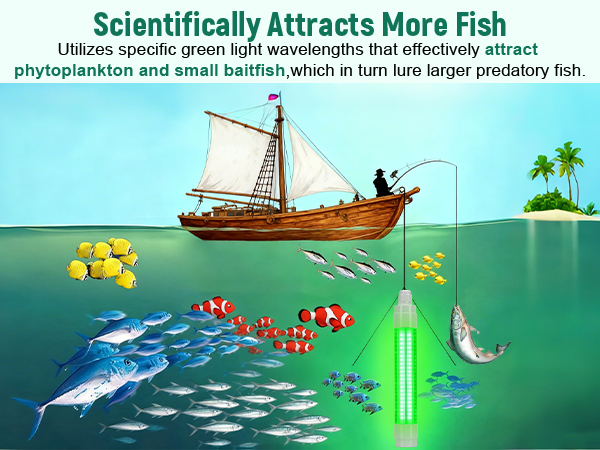 Underwater Fish Light
