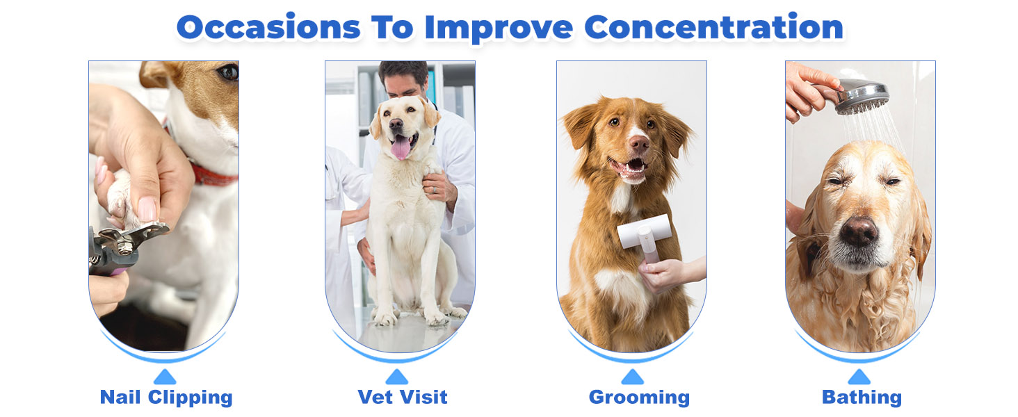 Dog Lick Mat with Suction Cup