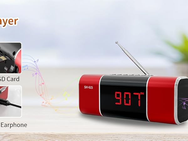 FM Radio Bluetooth Speaker