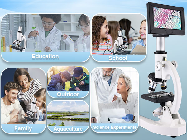 Microscope