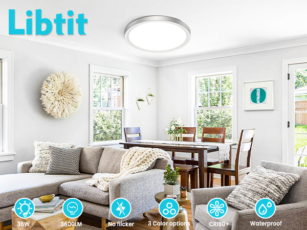 Brushed Nickel Ceiling Light