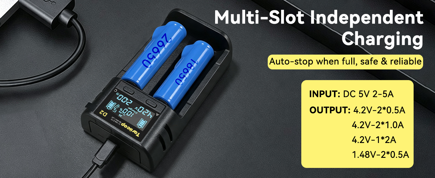 D2 18650 Battery Charger-2 Bay 1A Fast 3.7V 1464(5)