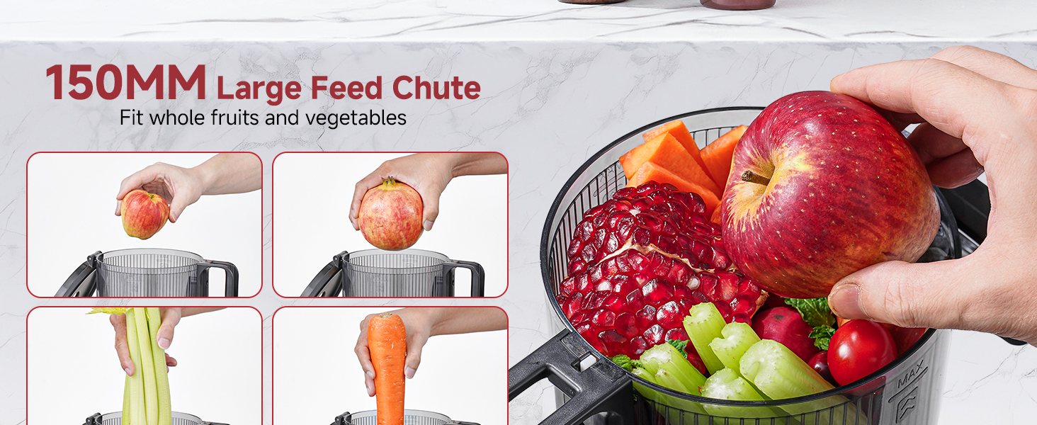 cold press juicer