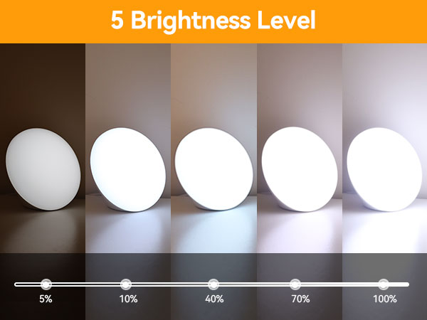 5 Brightness Level
