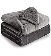 Cottonblue Weighted Blanket 15 lbs 60x80 inches, Queen Size Flannel Shaggy Sherpa Warm Heavy Weig...