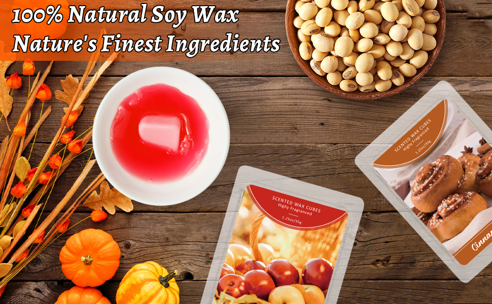 SCENTORINI Wax Melts, Fall Scented Wax Melts