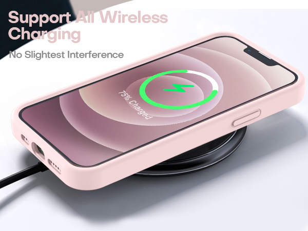 case iphone 12
