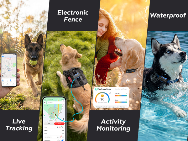 dog tracker multifuntions