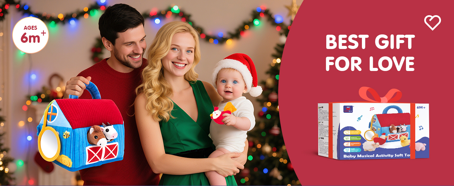 Baby Toys 6-12 Months