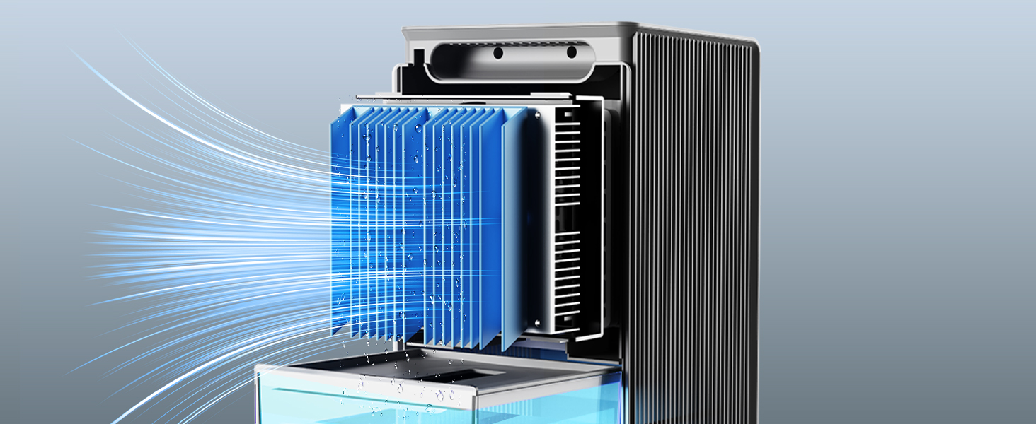 dehumidifiers for basement