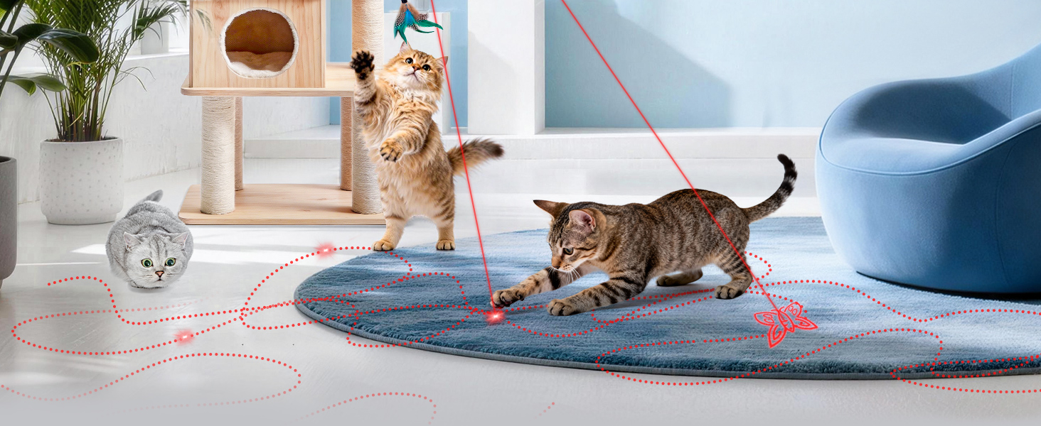 kitten toys