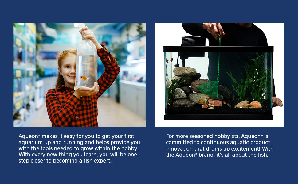 Aqueon is designed for beginners to experts