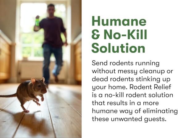 humans no-kill solution
