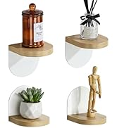Collection of four decorative display domes with wooden bases, containing various items including a small potted plant, figurine, and other decorative objects.