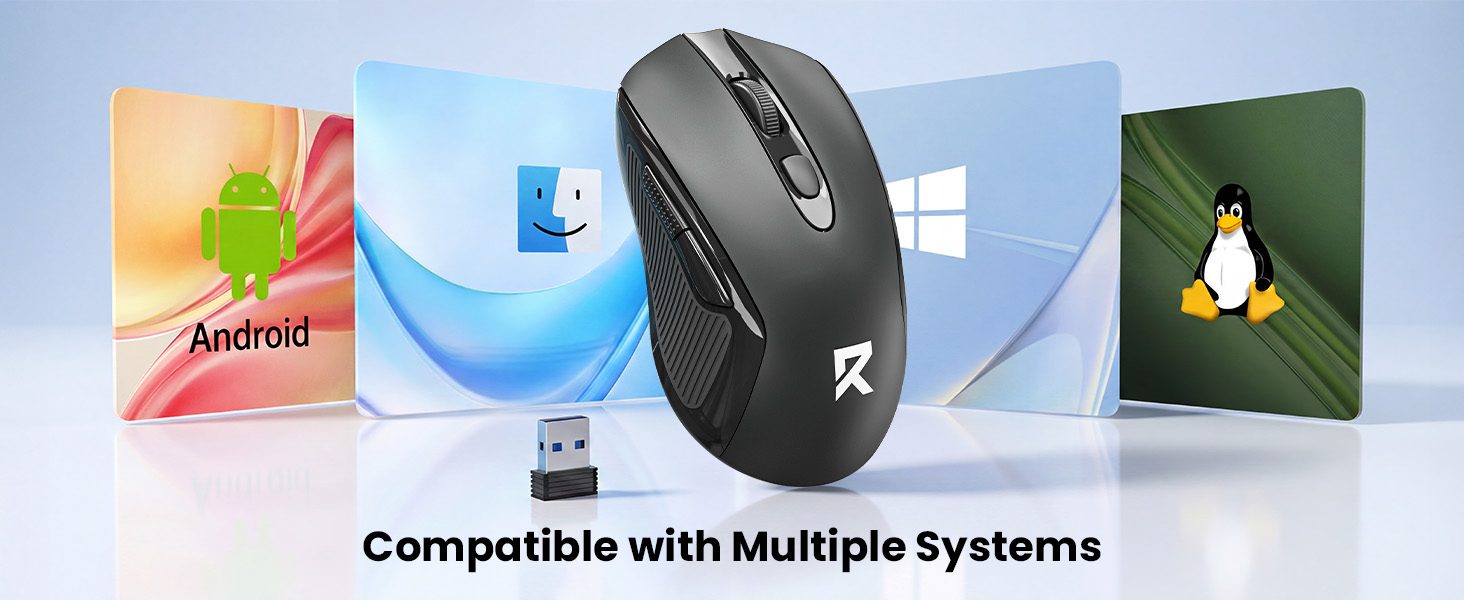 computer mouse