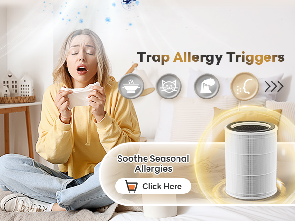 air purifier for allergy
