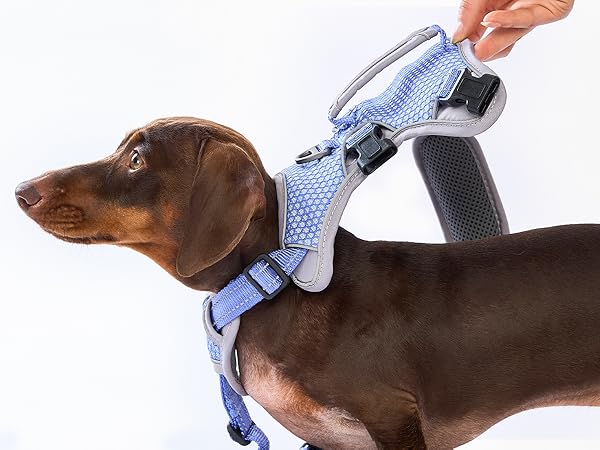 escape proof dog harness