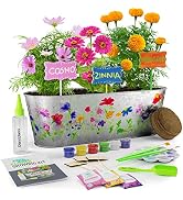 Dan&amp;Darci Paint &amp; Plant Flower Growing Kit for Kids - Best Birthday Crafts Gifts for Girls &amp; Boys...