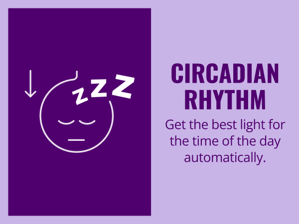 Circadian rhythm