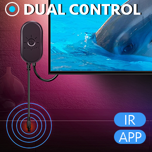 DUAL CONTROL