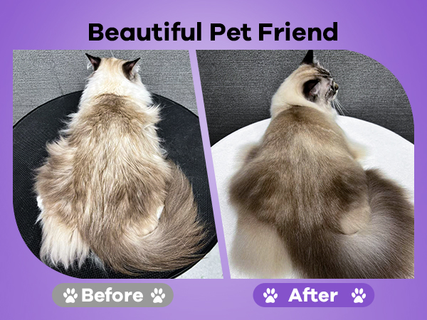 cat steam brush