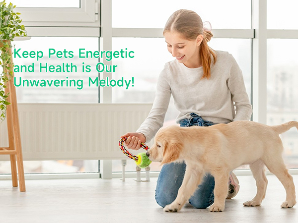 Dog Feeding Reminder, Magnetic Reminder Sticker, AM/PM Daily Indication Chart Feed/Walk Your Pets