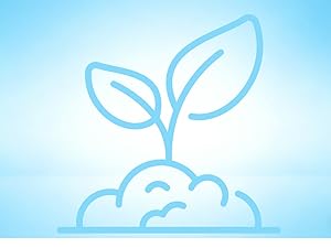 Mosquito Repellent Outdoor Patio