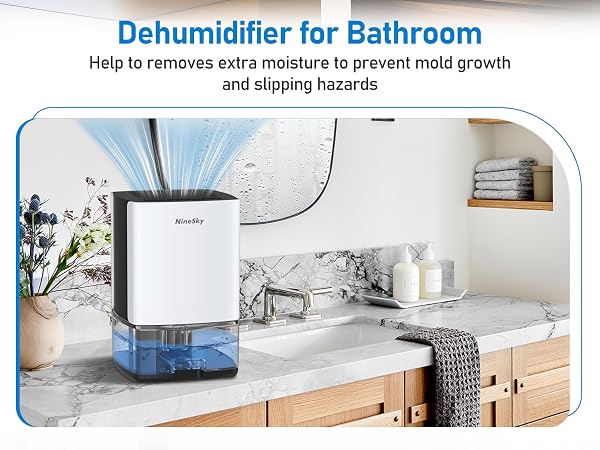 Dehumidifier