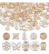 DICOSMETIC 100Pcs 10 Styles Assorted Bohemia Acrylic Beads Golden Metal Enlaced Vintage Aesthetic...