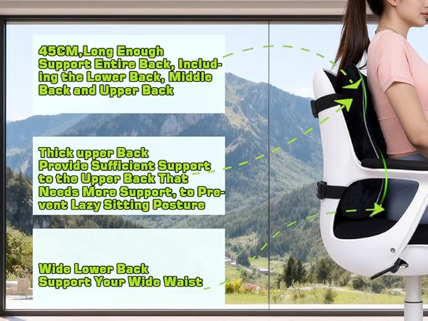 chair back support