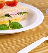 JOLLY CHEF10 inch 140 Pack Disposable Paper Plates,Soak Proof, Cut Proof, Microwave Safe Heavy Du...