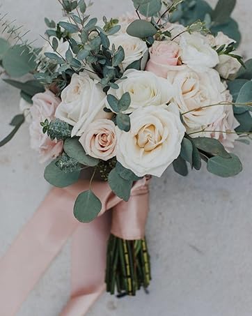 https://m.media-amazon.com/images/S/aplus-media-library-service-media/d6263187-4b94-4b4a-bffd-14cf968fdab8.__CR0,0,1086,1359_PT0_SX362_V1___.jpg