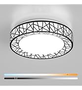 Lightania 12 Inch Flush Mount Ceiling Light, Modern Black LED Ceiling Light Fixture, 20W 1400LM 2...
