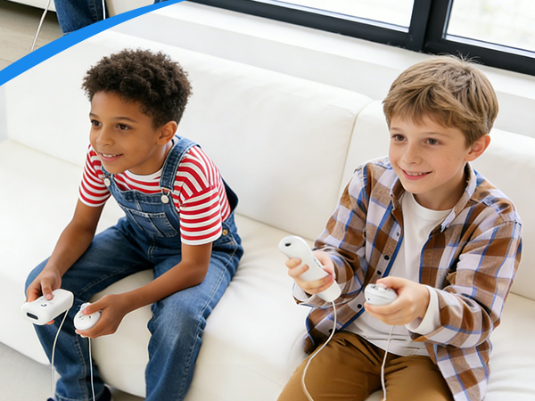 wii controller with nunchuck