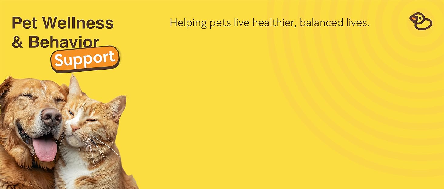 Pet Wellness &amp;amp; Behavior