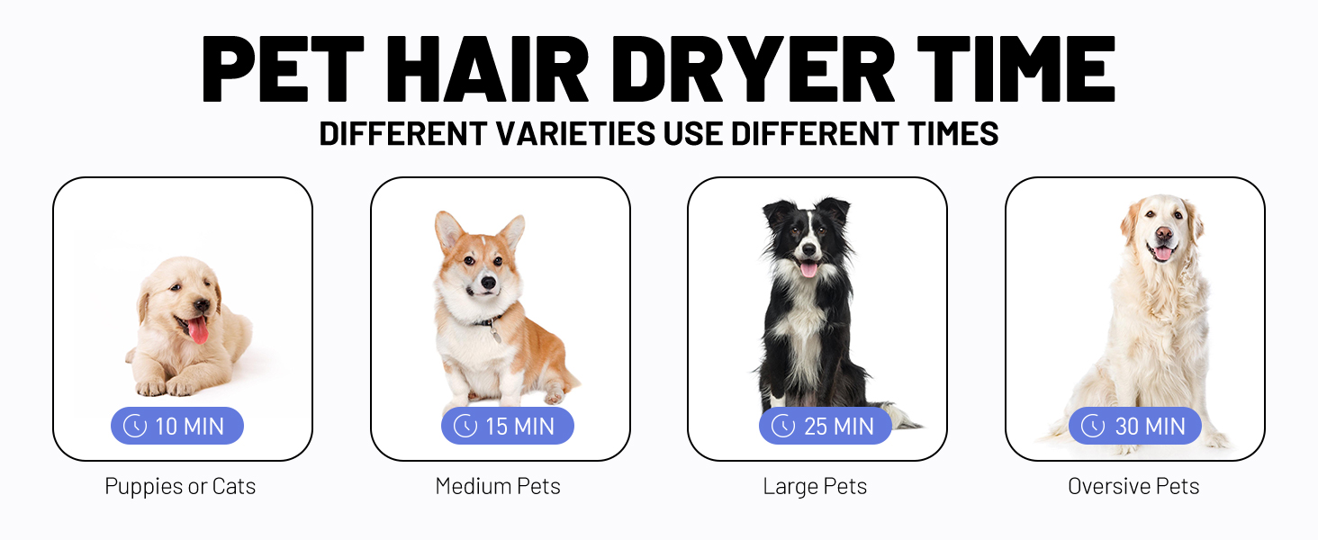 dog dryer hair blow pet grooming pet dryer high velocity deshedding Blanlody